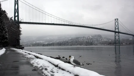 İstanbul’da Kar Engeli: 7 İlçede Okullar Tatil Edildi